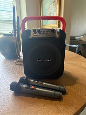 Portable Bluetooth Karaoke Speaker with Red Handle and Dual Microphones